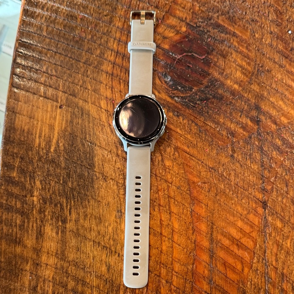 Garmin Smartwatch - Silver Case with Light Gray Silicone Band